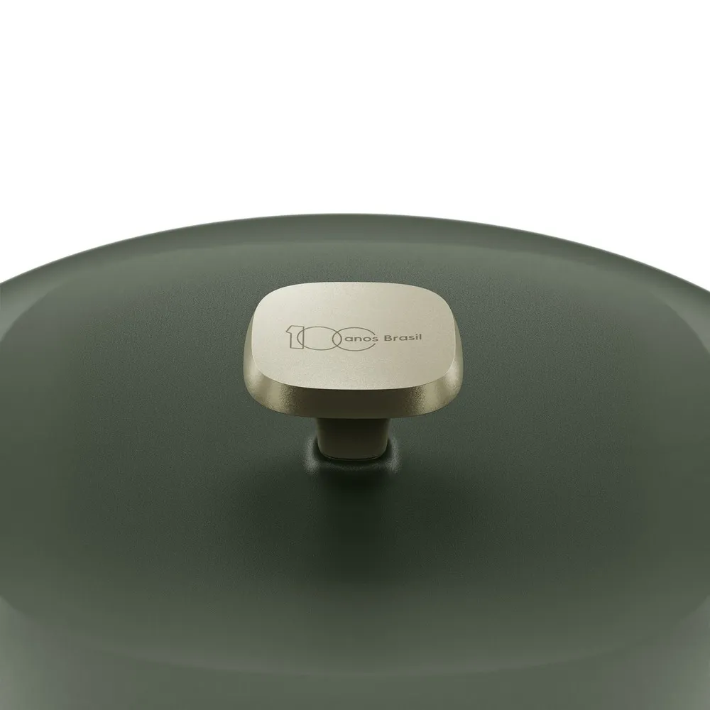 Panela de Ferro Fundido Esmaltado Molheira Electrolux 20cm verde Linha 100 Anos Celebre Temperos